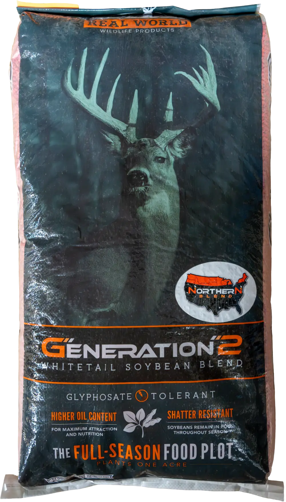 northern soybeans