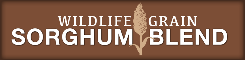 Wildlife Grain Sorghum