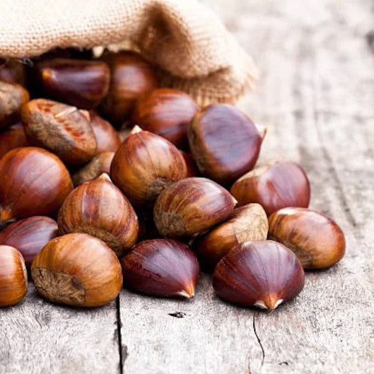 Pre-order Booner Chestnut