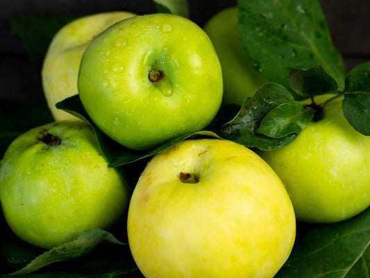 Pre-order Rut Master Apple