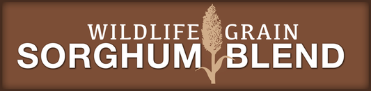 Wildlife Grain Sorghum